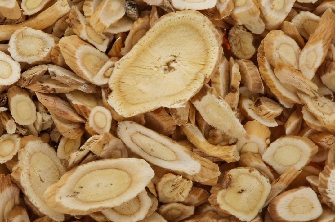 Astragalus Root: Your Everyday Immune & Resilience Boost