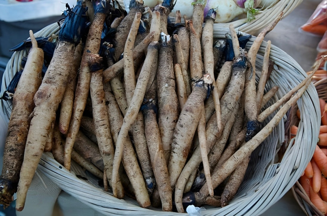 Burdock Root: Powerful Root For Blood‑Cleansing, Skin Health, And Digestive Support