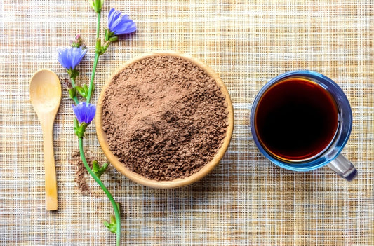Chicory Root: Bitter Root for Gut Health, Liver Support, and Gentle Cleansing